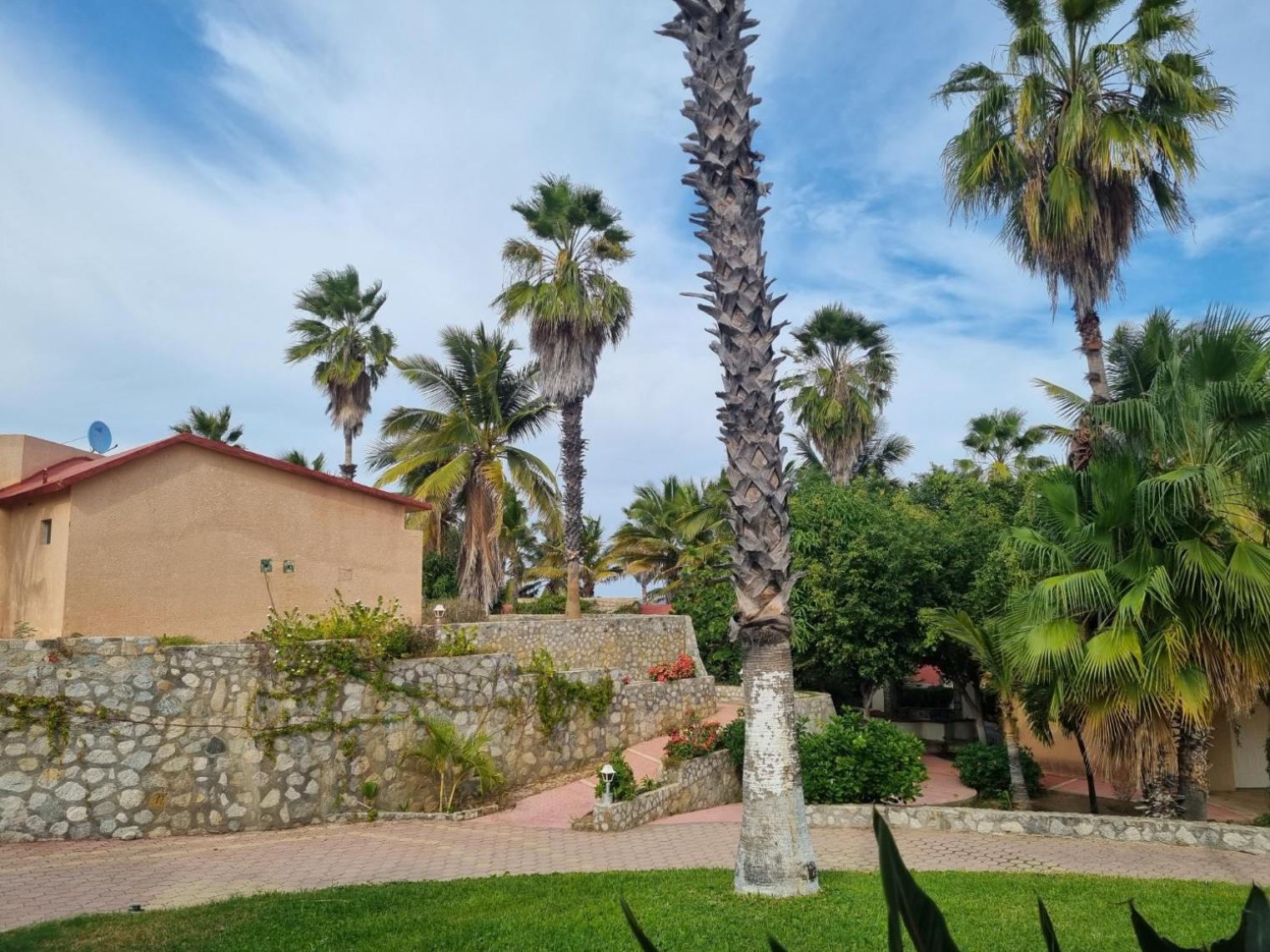 Buena Vista Oceanfront & Hot Springs Resort Buenavista  Kültér fotó